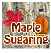 MapleSugar