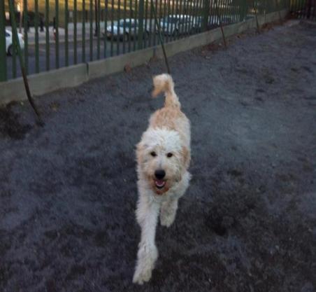 9484_10152406529095504_1813275392_n