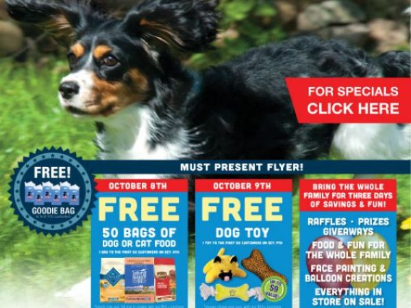 1016_terrys_anniversary-1475167132-7977