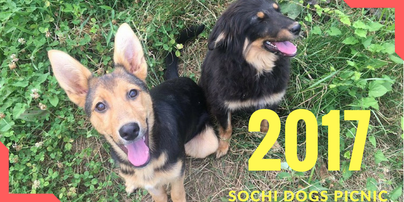 https3a2f2fcdn-evbuc-com2fimages2f350726242f1911218067782f12foriginal