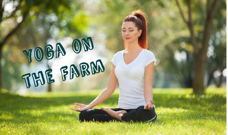 41868342_1875010719219138_3072904243926007808_n