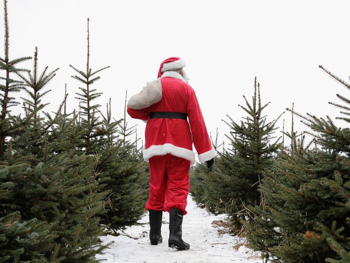 gettyimages-107540963-1510763464-2361