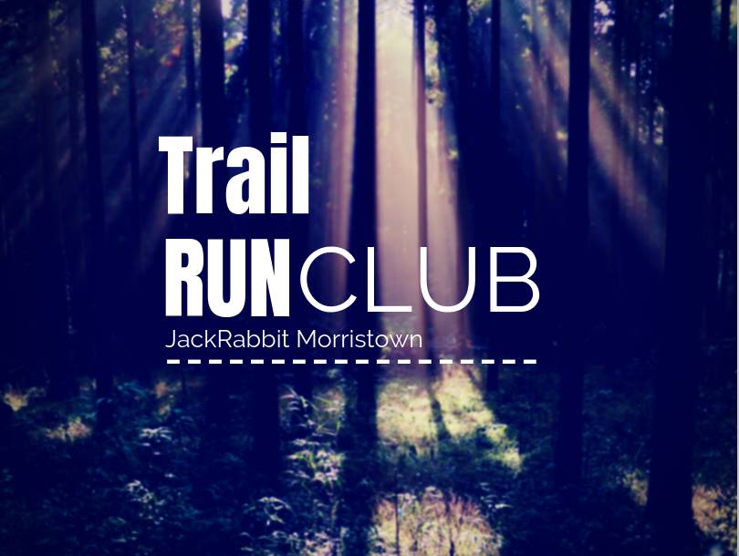 52605492_2131177310330198_535214673826414592_n