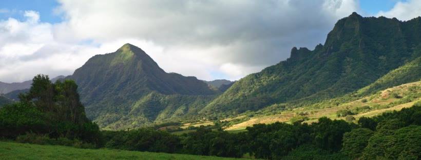 56373623_10157165516066484_8222901641959964672_n