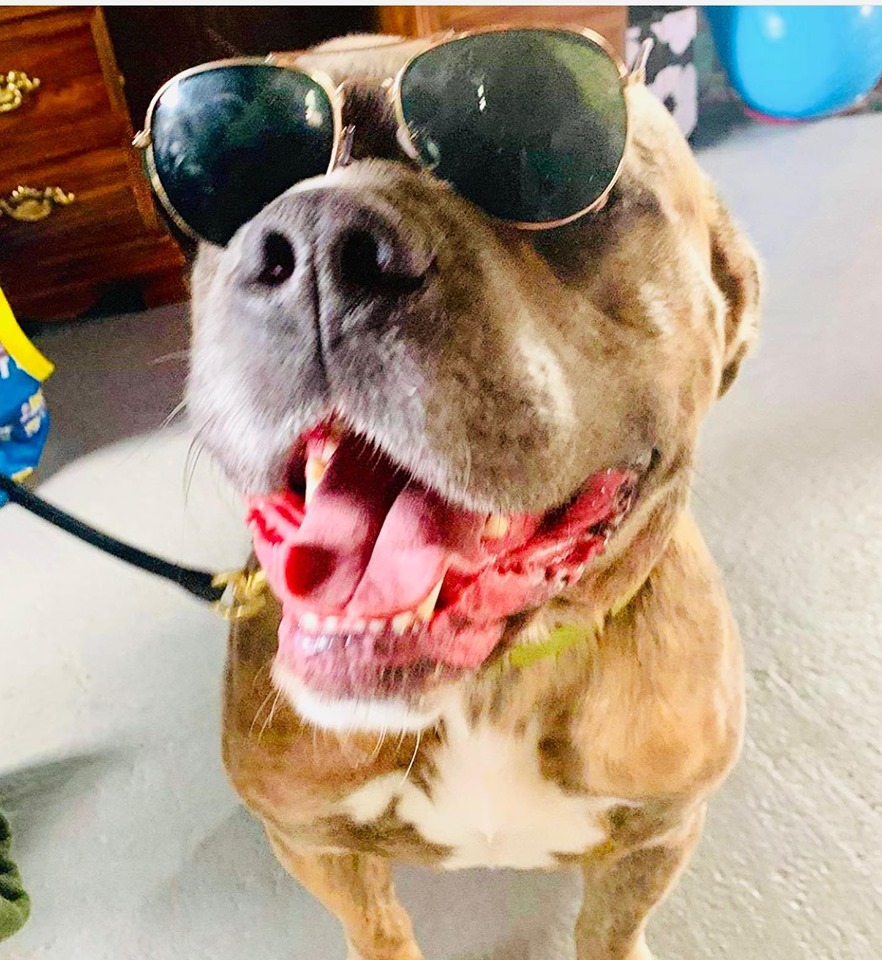 60514986_2264819566965971_1753008201990668288_n