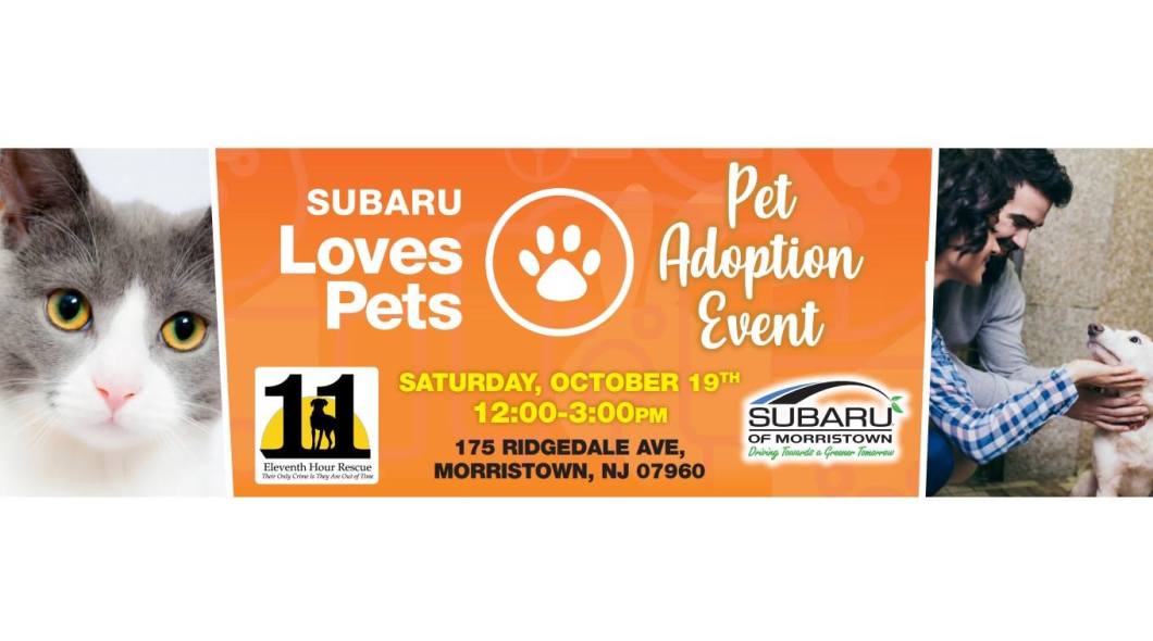 71566870_10156966788499833_7751960178760613888_o